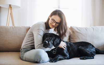 Benefits of Hiring a Professional Pet Sitter