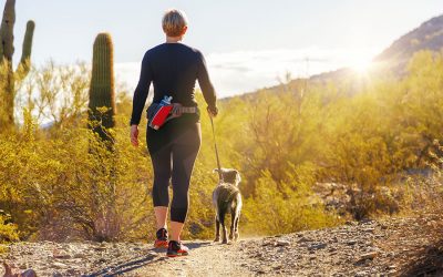 Best Practices for Safe Dog Walking during the Coronavirus Pandemic