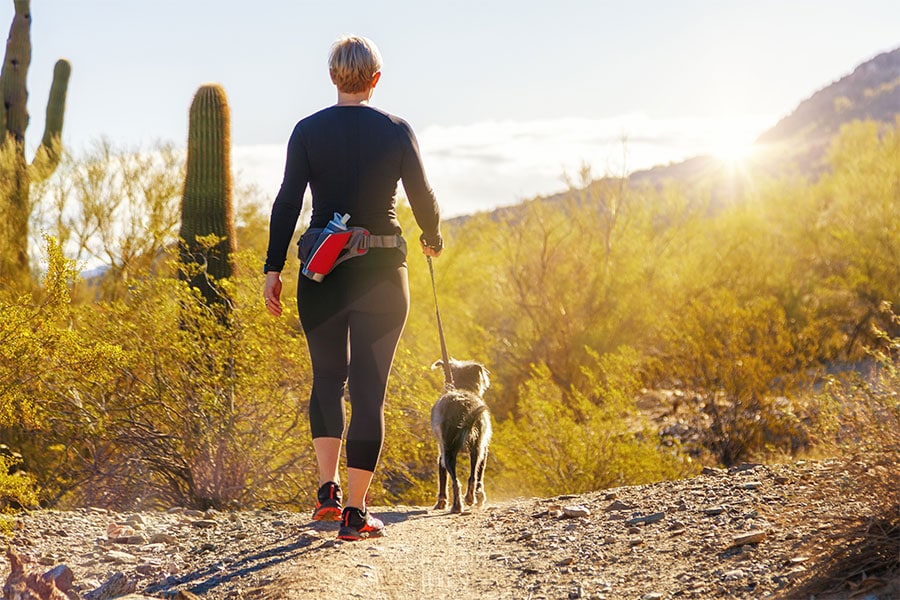 Best Practices for Safe Dog Walking during the Coronavirus Pandemic