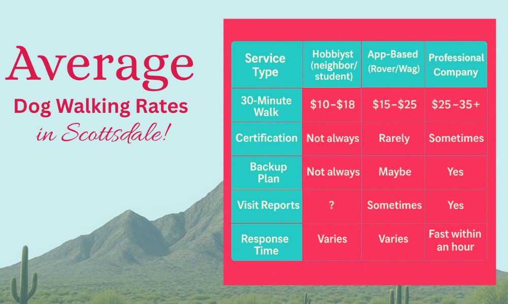 Average dog walking rates