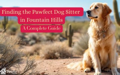 Finding the Perfect Dog Sitter in Fountain Hills: A Complete Guide