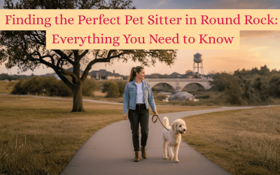 How to Find the Perfect Pet Sitter in Round Rock Everything You Need to Know