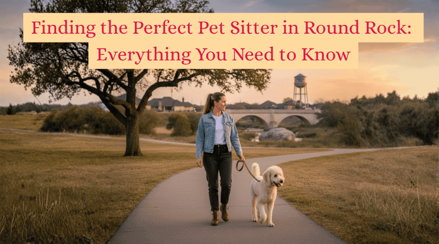 Finding the Perfect Pet Sitter in Round Rock: Everything You Need to Know