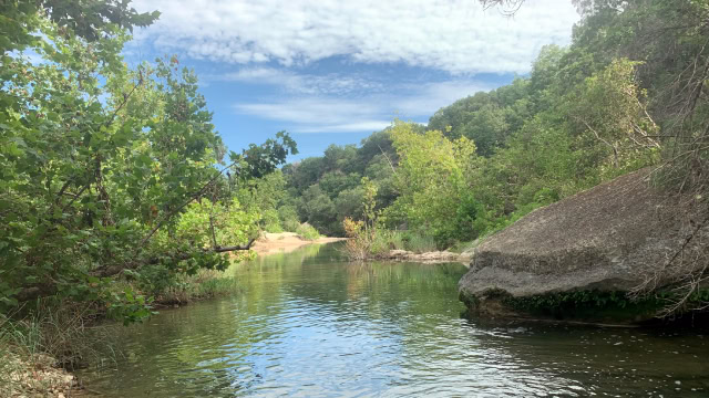 Barton Creek Greenbelt (near Southwest Austin)