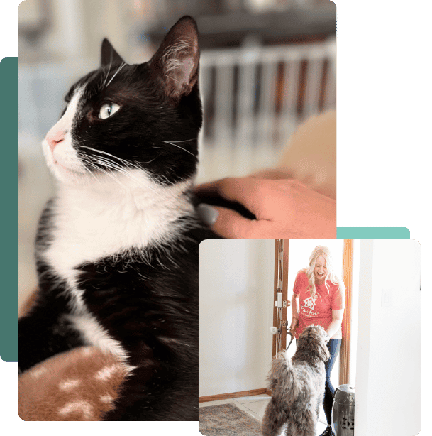 Bonded, Insured & Accountable Pet Care Services in Arizona and Texas