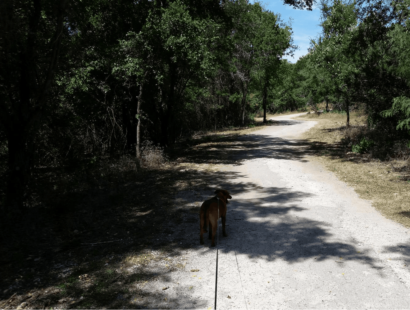 Mary Moore Searight Metropolitan Park (South/Southwest Austin)