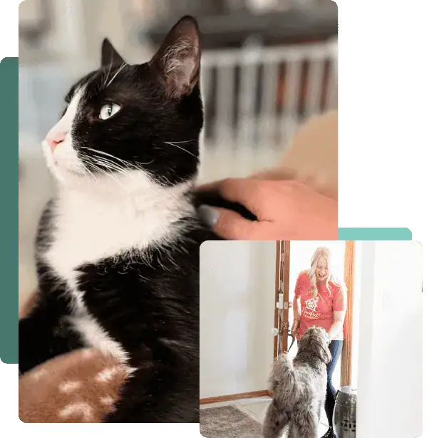 Bonded-Insured-Accountable-Pet-Care-Services-in-Arizona-and-Texas